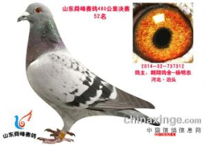 ����Ŵ�