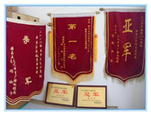 点击放大