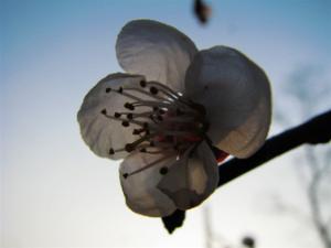 ����Ŵ�