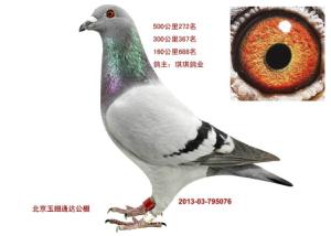 ����Ŵ�