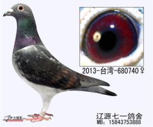 20151105100901.jpg