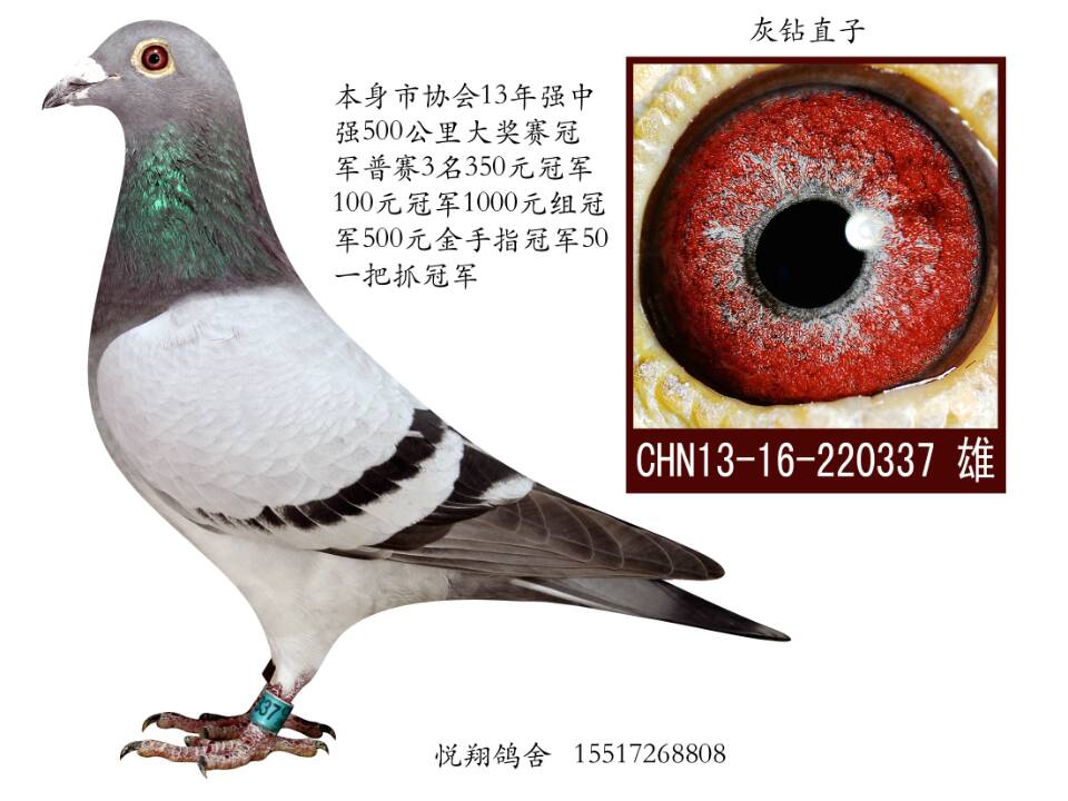 20150208013400.jpg