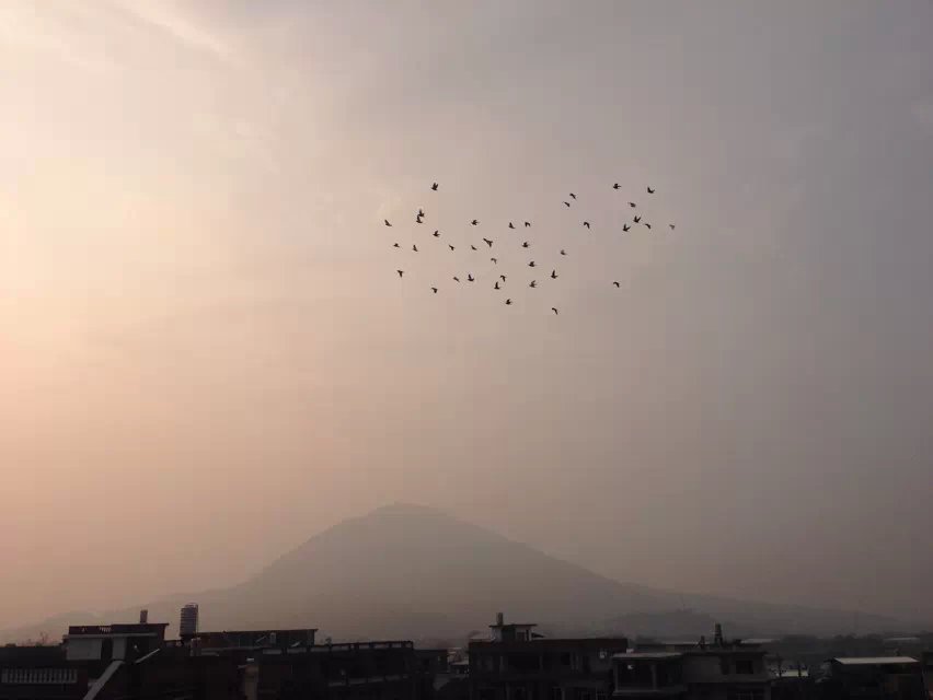 20150308212110.jpg