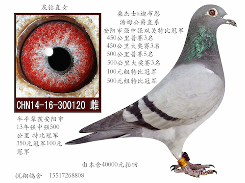 20150529233731.jpg