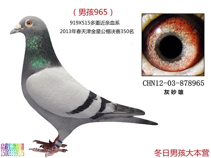 20160306145443.jpg