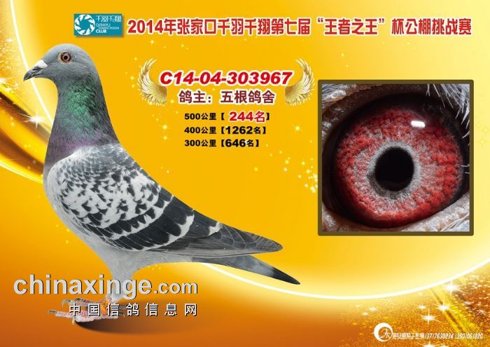 20160314092536.jpg
