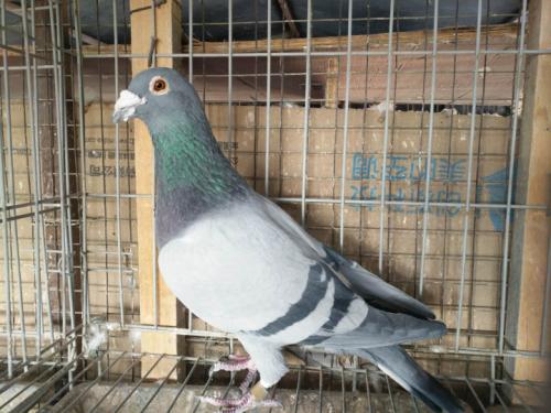 ����һ��