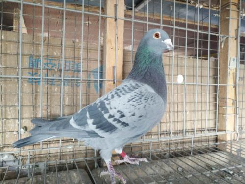 ����һ��