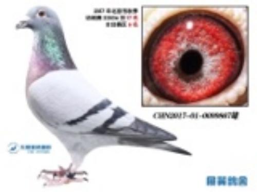 �׸���6��