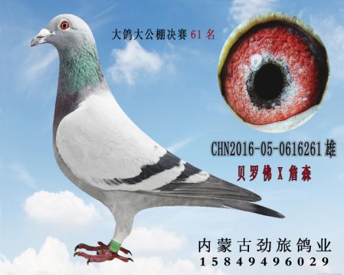 ����ս��