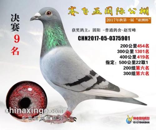 ����ս��