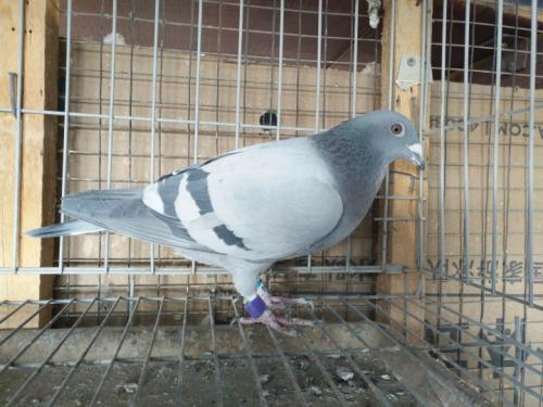 ����һ��