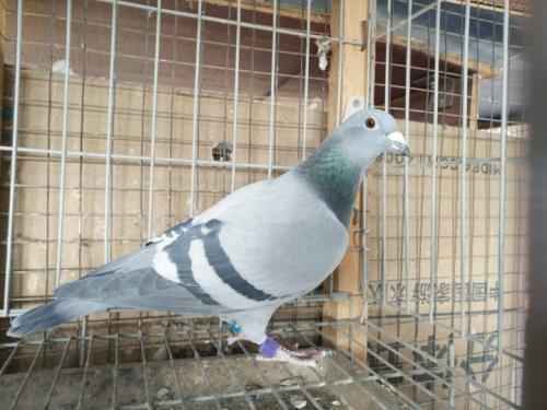 ����һ��