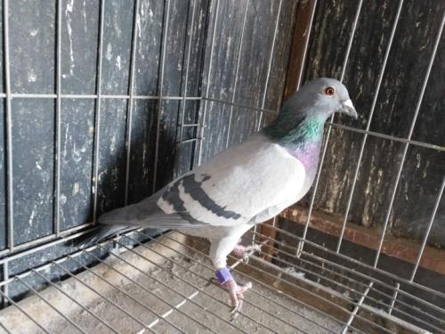 ����һ��