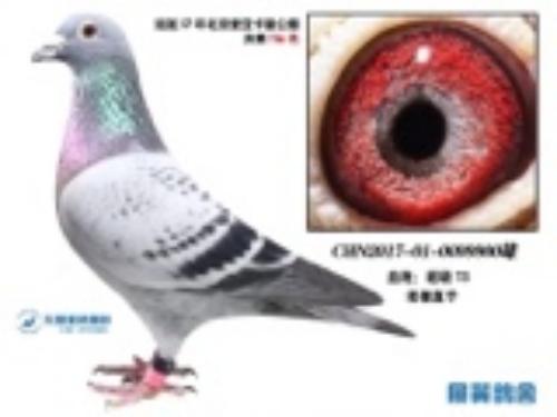 ���ֱ��900