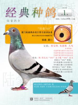 ��ŷ�߿�ϵ��