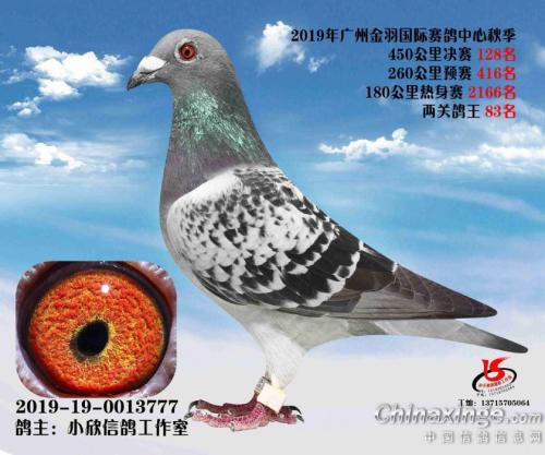 2019�������ʹ������128