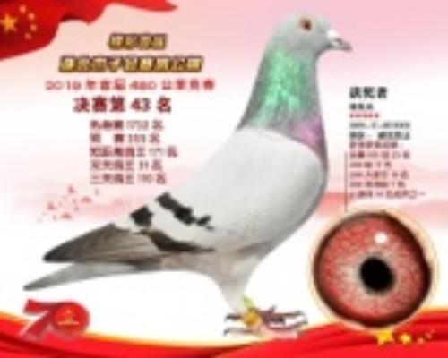 2019����Դ��002��