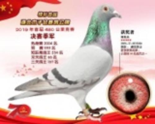 2019����Դ��084��