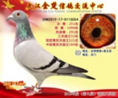 2019����Դ��054��