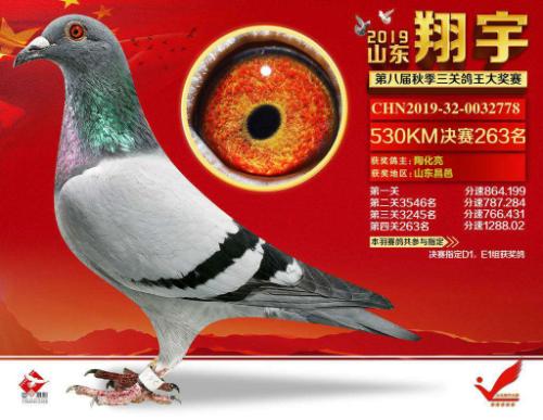 ����񽱸�����6��ͬ��ĸ