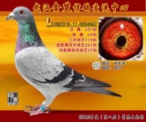 2018�긣�ǣ�662��