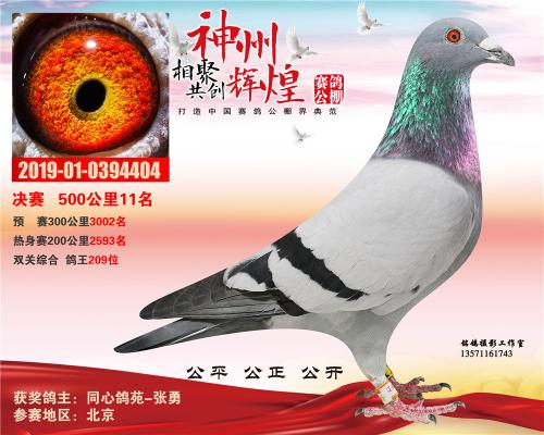 ���ݻԻ�11��