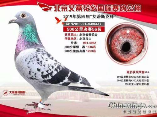 �������56