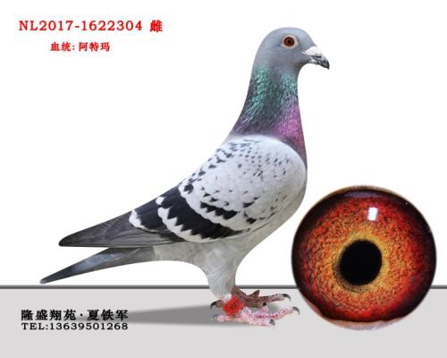 �����곬��53����Ů