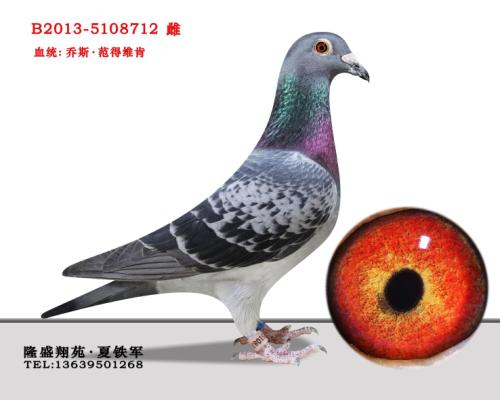 ����ά��