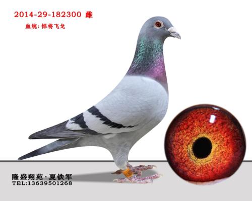 �����ɸ�����550��������