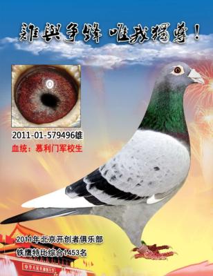 Ľ���ž�У��