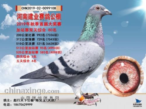 ��ҵ�ۺϸ���4λ