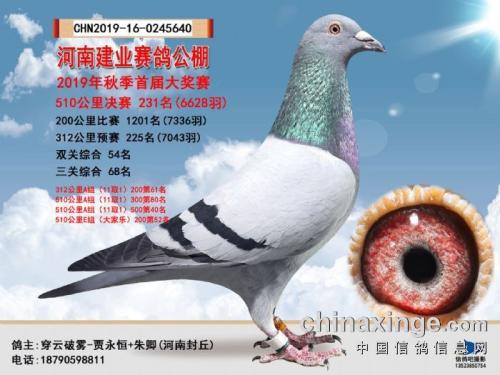 ��ҵ����231��