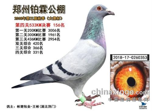 ����156�� ���ݿ�