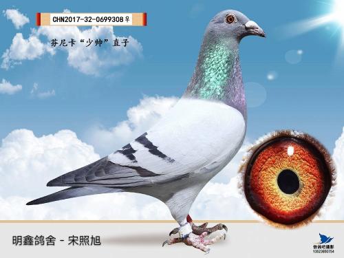 ���Ź��� ���ݿ�