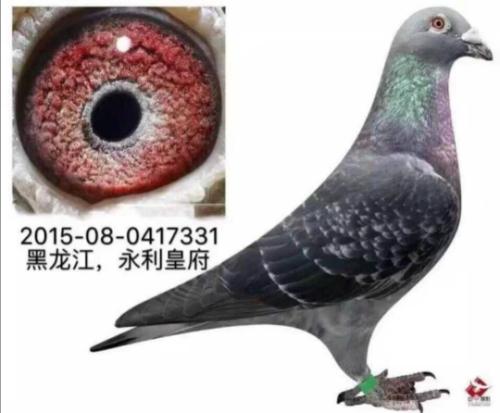 �����ʸ� ��ӥ