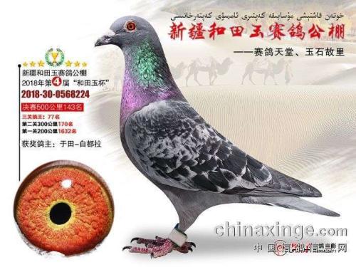 �����ָ�