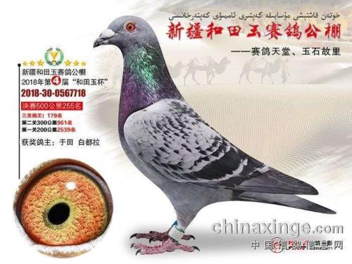 �����ָ�