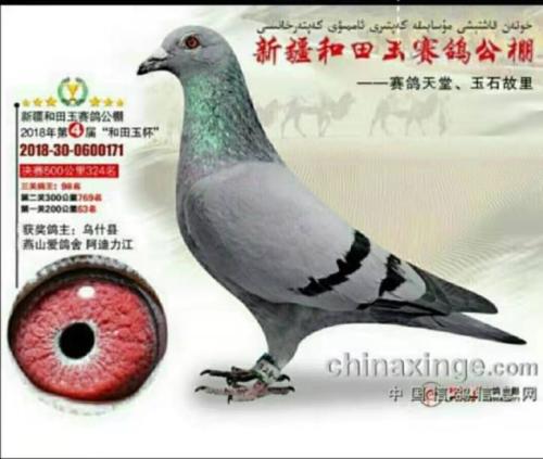 �����ָ�