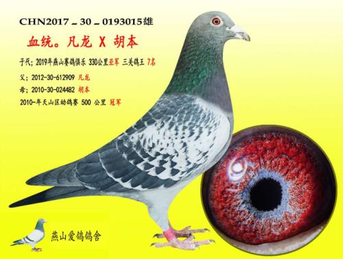 �����ָ�