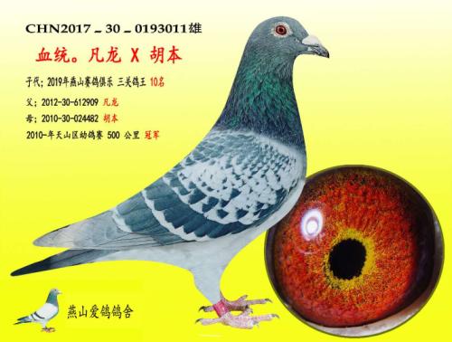 �����ָ�