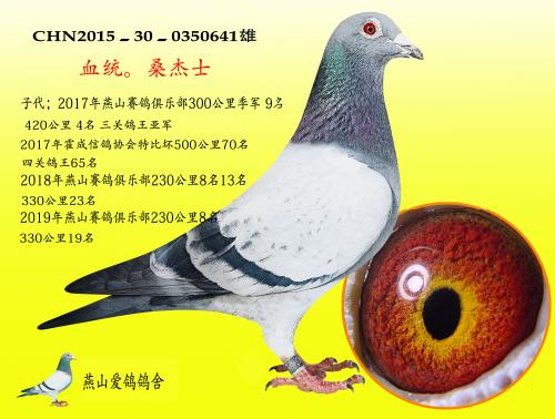 �����ָ�