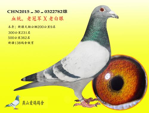 �����ָ�