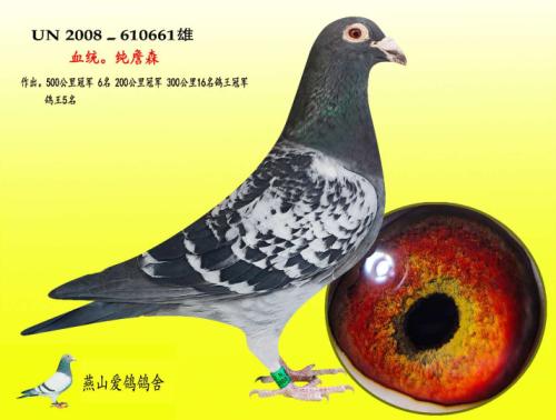 �����ָ�