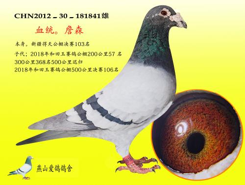 �����ָ�