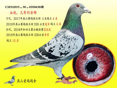 �����ָ�