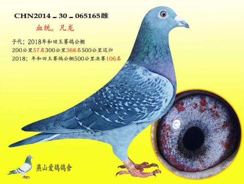 �����ָ�