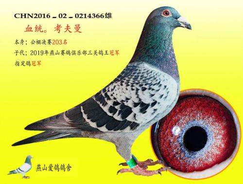 �����ָ�