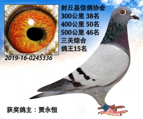 Э��󽱸���23��